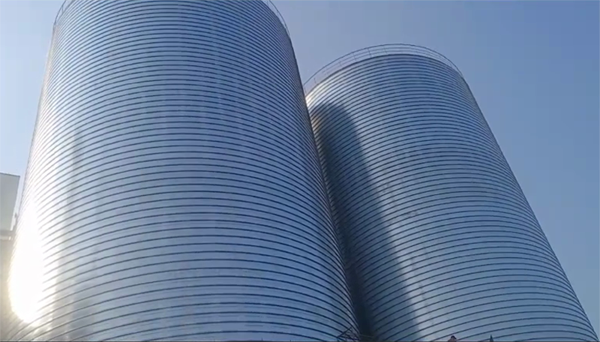 玛纳斯2座混凝土高架卷板仓